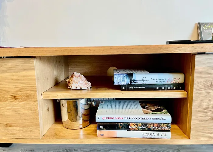 El Rinconin - Primera Linea De Playa - Wifi Gratis Διαμέρισμα Χιχόν